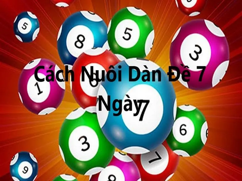 Cách Nuôi Dàn Đề 7 Ngày Chuẩn Như Cao Thủ, Dễ Thực Hiện