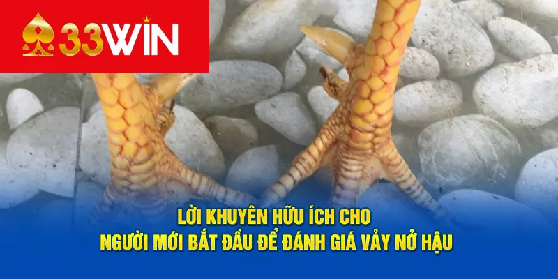 Lời khuyên hữu ích cho người mới bắt đầu để đánh giá vảy nở hậu